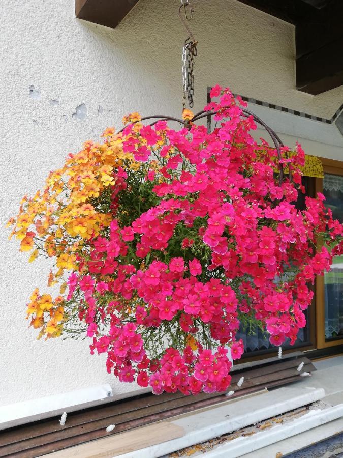 ホテル Haus Seppi Neukirchen am Großvenediger エクステリア 写真