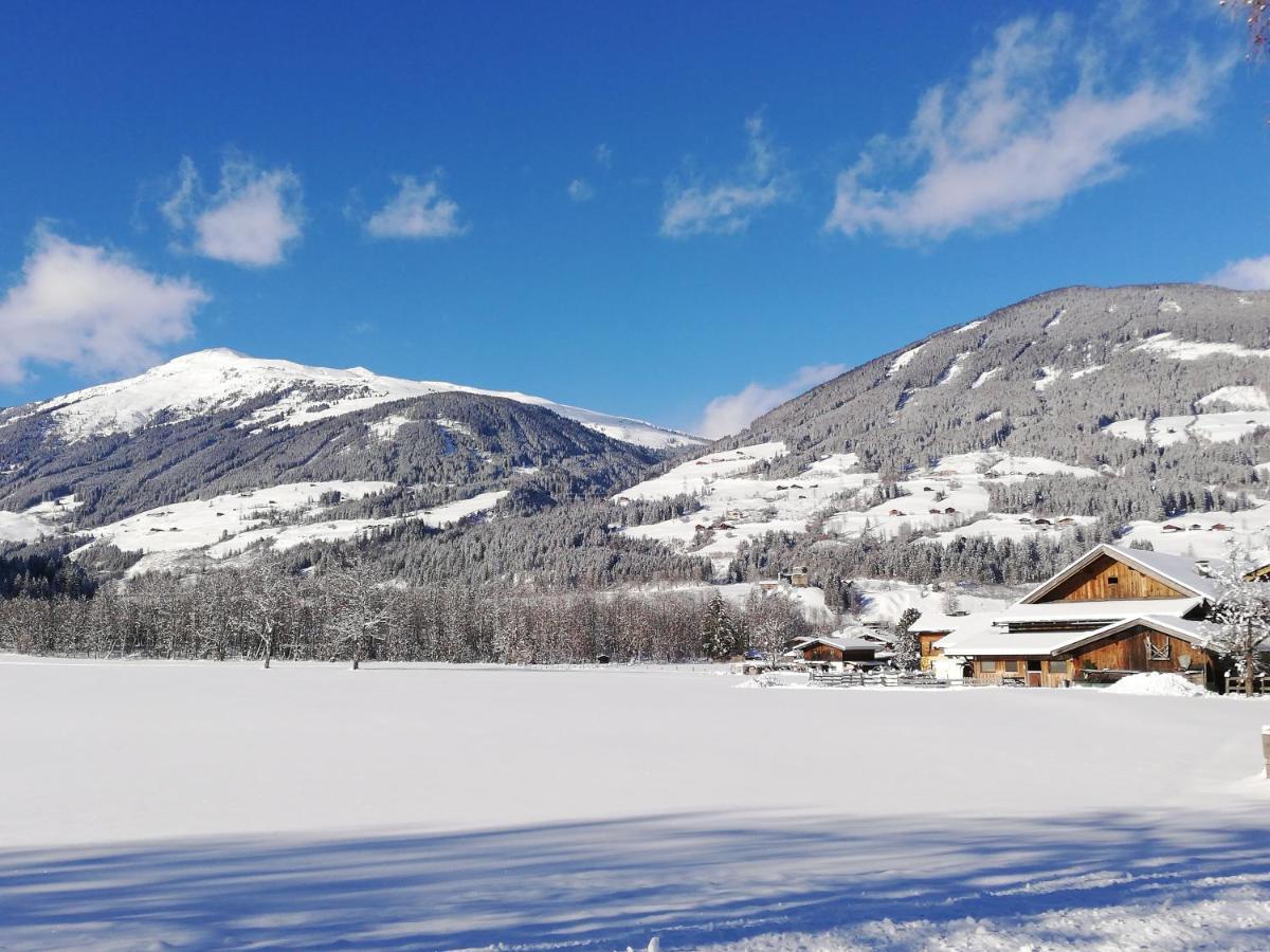 ホテル Haus Seppi Neukirchen am Großvenediger エクステリア 写真