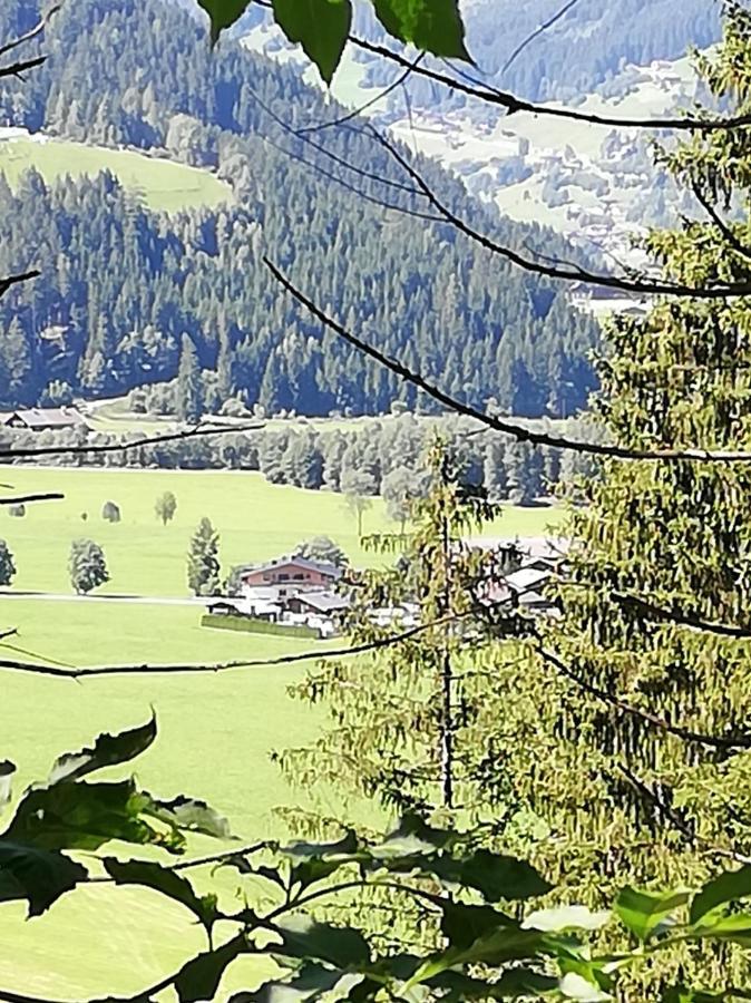 ホテル Haus Seppi Neukirchen am Großvenediger エクステリア 写真