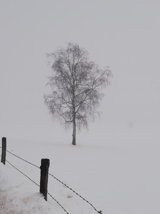ホテル Haus Seppi Neukirchen am Großvenediger エクステリア 写真